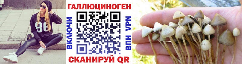 Псилоцибиновые грибы Psilocybine cubensis  продажа наркотиков  Ленск 
